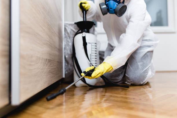 Best Local Pest Control Services  in Iceville, AL