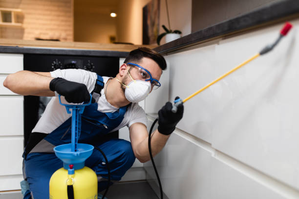 Best Emergency Pest Control  in Iceville, AL
