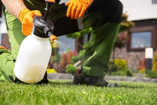 Reliable Aliceville, AL Pest Control Solutions