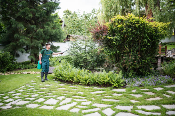 Best Wasp Removal Services  in Iceville, AL