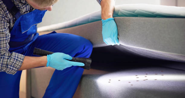 Best Residential Pest Control  in Iceville, AL