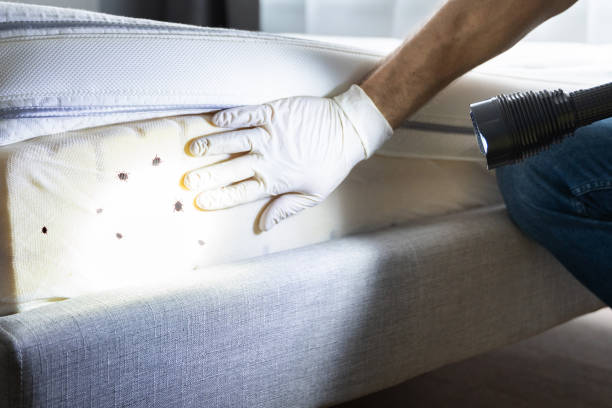 Best Exterminator Services  in Iceville, AL
