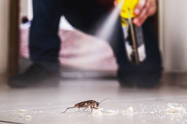 Best Wasp Removal Services  in Iceville, AL