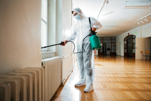 Best Flea Control Services  in Iceville, AL