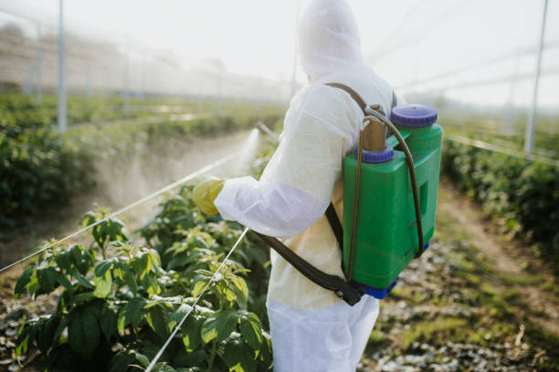 Best Ant Control Services  in Iceville, AL